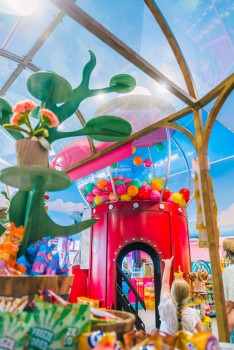 Lollyland | Famiflora