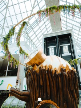 Wijnegem Shopping | Frühlingsgarten Wijnegem Shopping | Frühlingsgarten