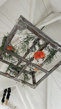 Le Pal | Fjord Explorer Le Pal | Fjord Explorer