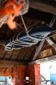 Walibi Belgium | Dock World Walibi Belgium | Dock World