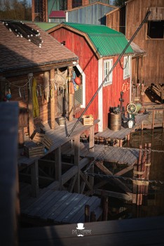 Walibi Belgium | Dock World Walibi Belgium | Dock World