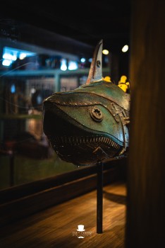 Walibi Belgium | Dock World Walibi Belgium | Dock World