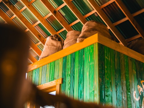 Bellewaerde | Mundo Amazonia Bellewaerde | Mundo Amazonia