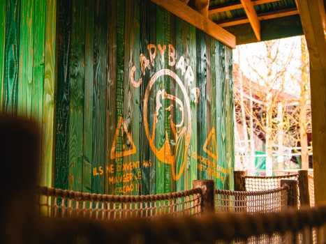 Bellewaerde | Mundo Amazonia Bellewaerde | Mundo Amazonia