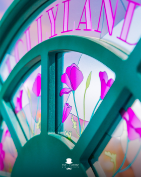 Lollyland | Famiflora Lollyland | Famiflora