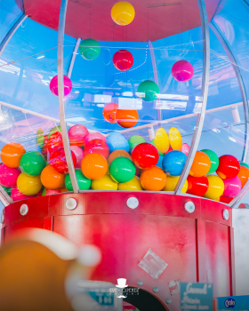 Lollyland | Famiflora Lollyland | Famiflora