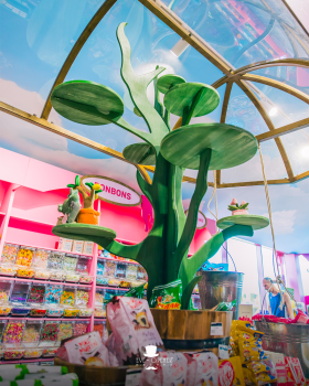 Lollyland | Famiflora Lollyland | Famiflora